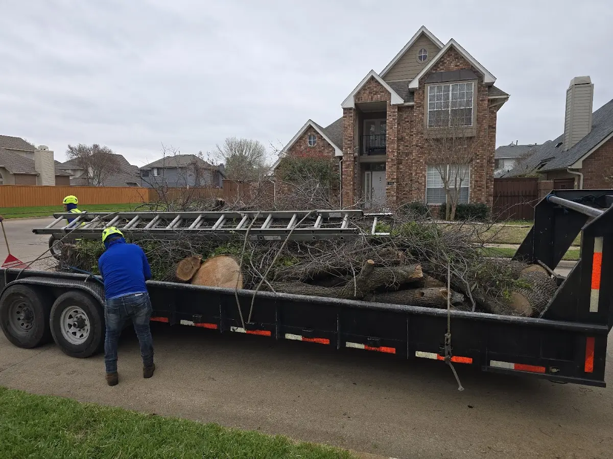 Expert Crown Reduction with proper safety equipment in Ponca City